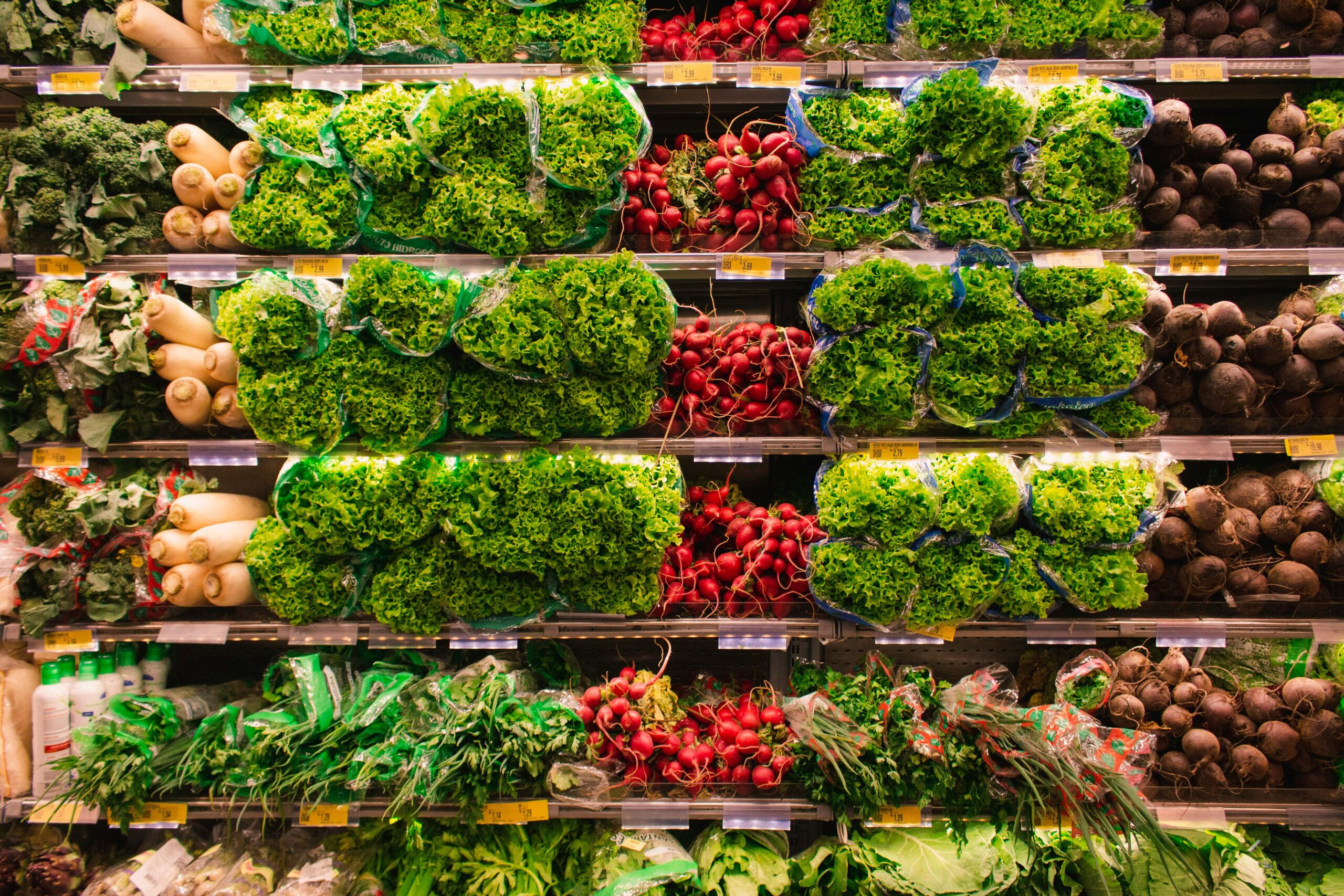 A shelf filled with green lettuce and red radishes.